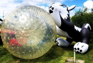 Zorbing - ein tierisches Vergnügen!