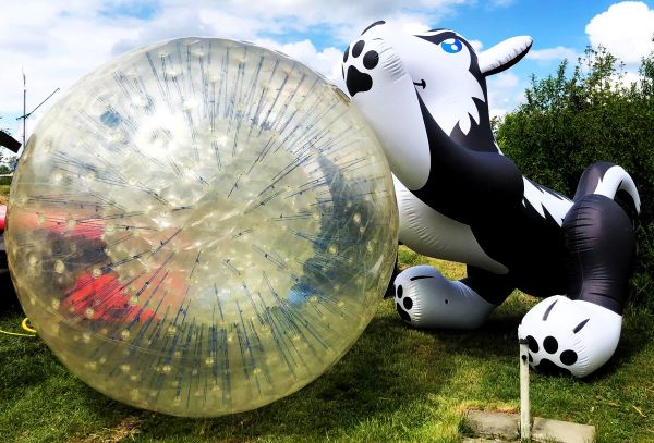 Zorbing - ein tierisches Vergnügen!
